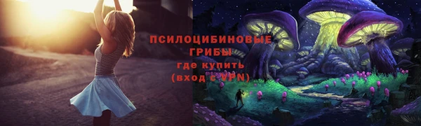 СК Верея