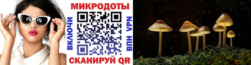 сайты даркнета наркотические препараты  blacksprut ссылки  Лукоянов  Псилоцибиновые грибы Psilocybe 